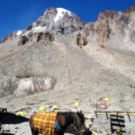 Leh–Ladakh Solo Escape – 5N/6D